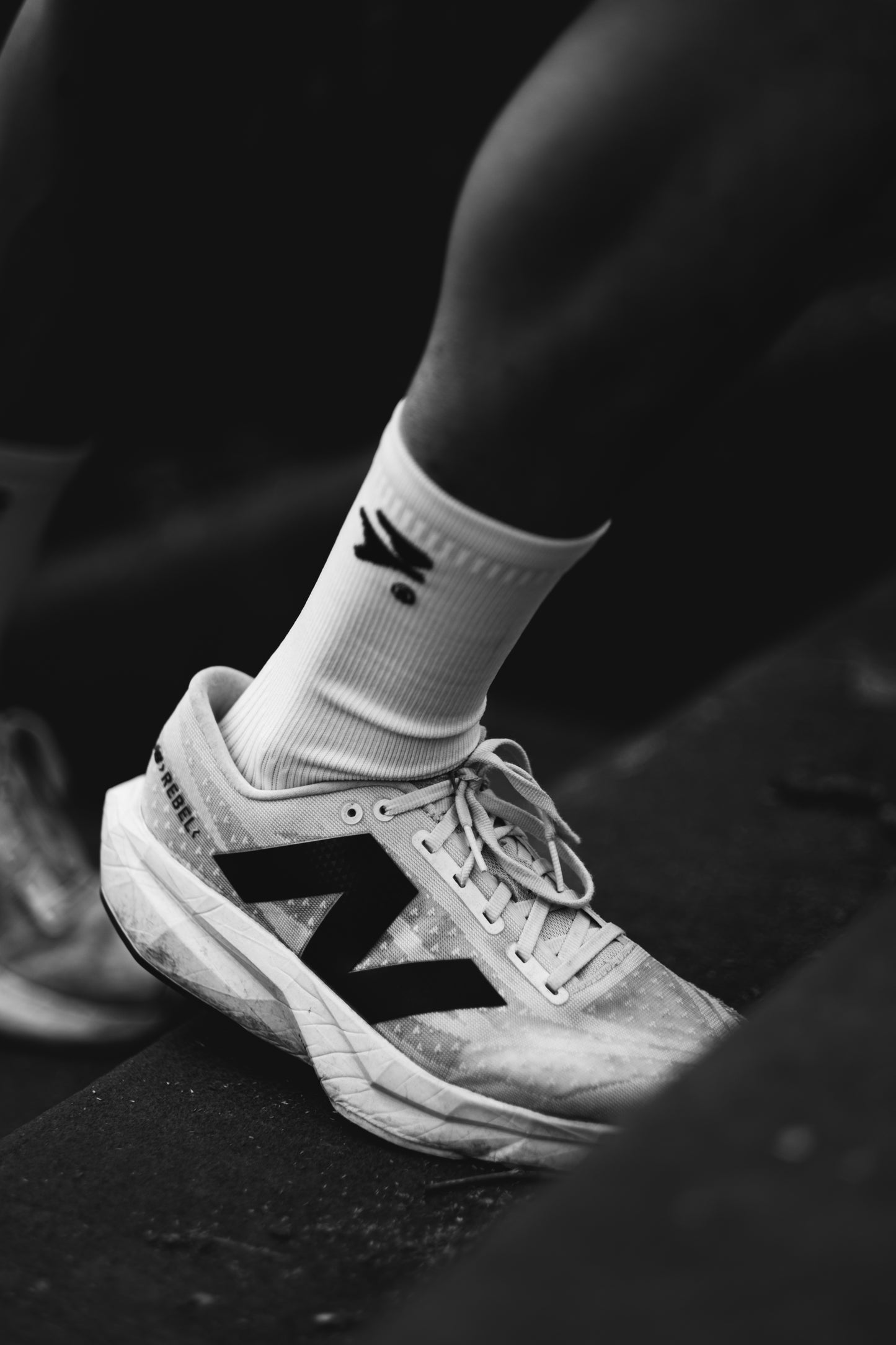 Polar Performance Socks